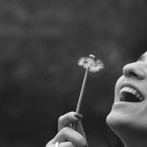 The Wondernet Transformation